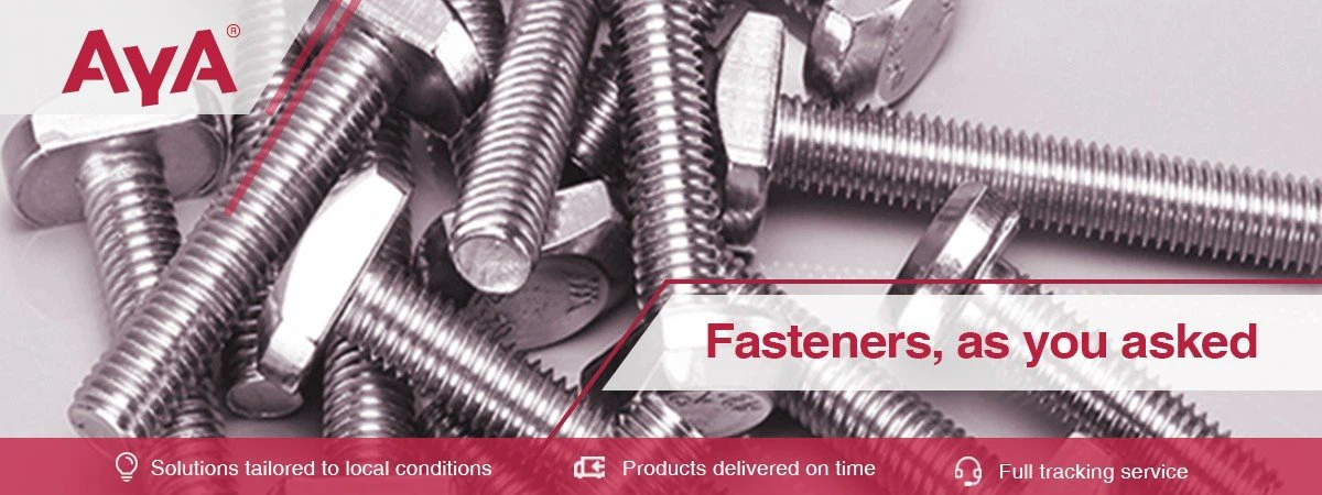 Stainless Steel T Bolts-AYA